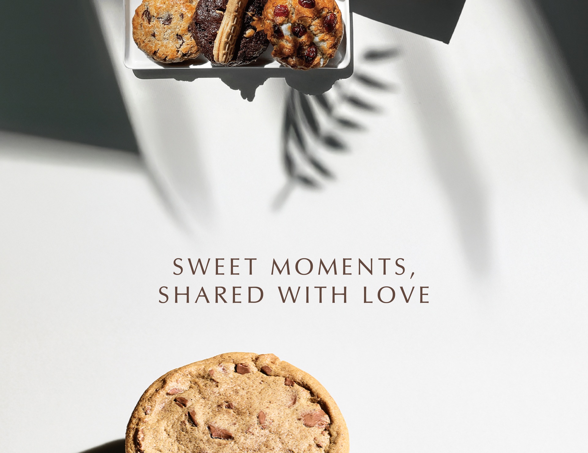 Madam Ramy Ads Behance-11 Madam Ramy Ads Behance-11